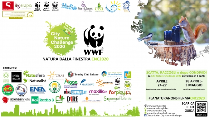 CNC 2020 Natura dalla Finestra - CESAB